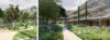 Vreeswijkpad Amsterdam impressie binnentuin foto Open Kaart Pieter Soetaert 104 woningen co-creatie